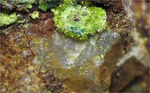volborthite bright yellow green crystal cluster