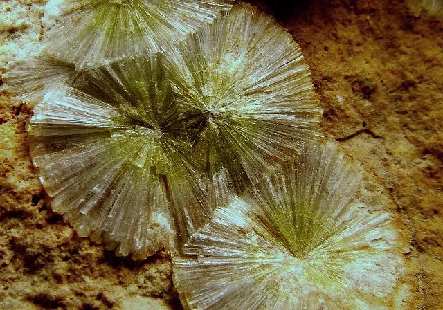 wavellite lime green radiating crystal cluster