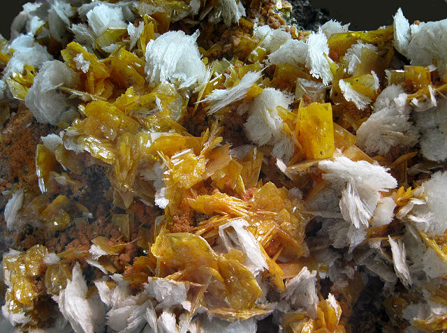 wulfenite bright yellow square crystals