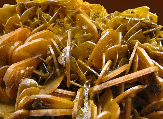 wulfenite orange crystals with rounded corners