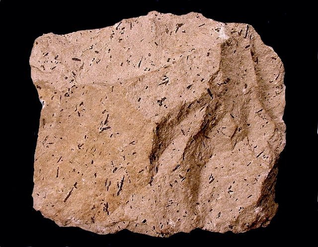 Andesite - With Hornblende Crystals