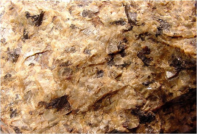 Granite - Tonalite - Classic Texture - Close Up