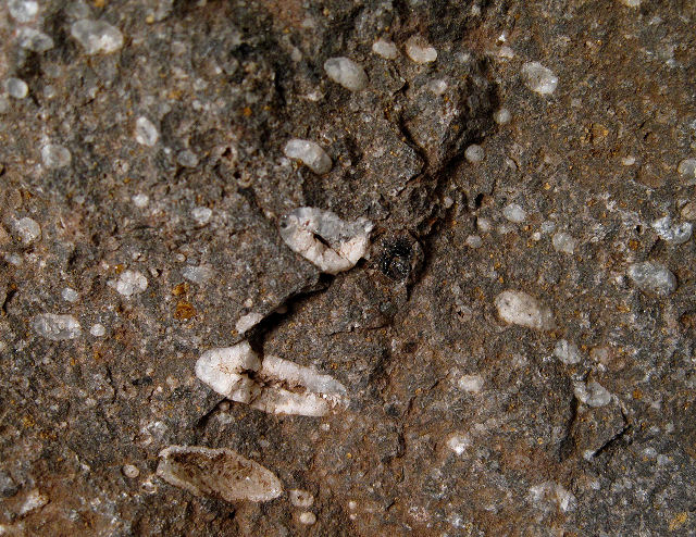 Basalt Amygdaloidal
