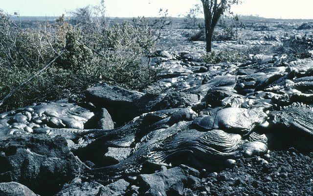 Basalt -Pahoehoe Hawaii Trip