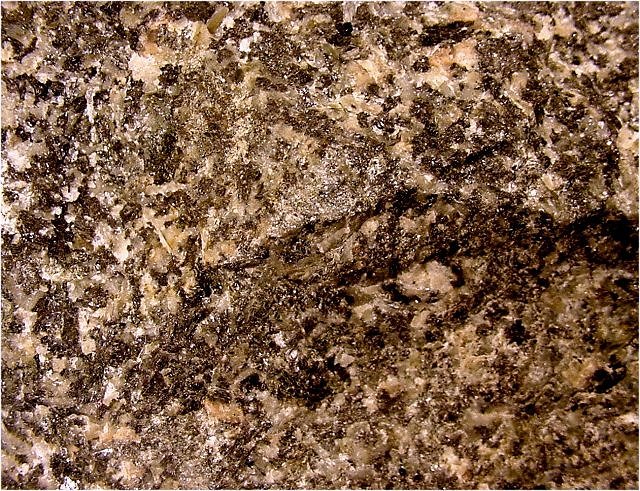 gabbro with hornblende crystals