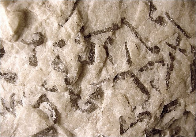 Granite - Graphic Texture