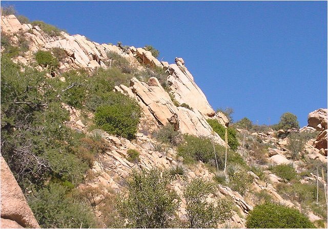 granite jointed Schultze