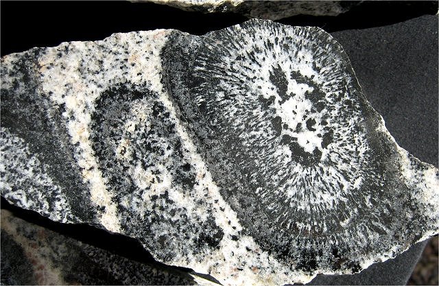 Granite - Orbicular – Close up - Australia