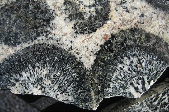 Granite - Orbicular - Closeup - Australia