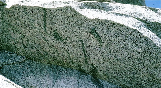 Granodiorite - Mt. Whitney
