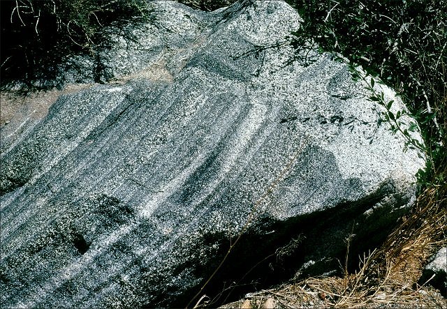 Granodiorite - Mt. Whitney