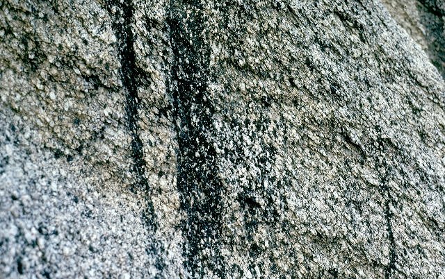 Granodiorite - Mt. Whitney