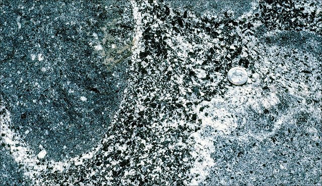 Granodiorite - Close Up - Mt. Whitney