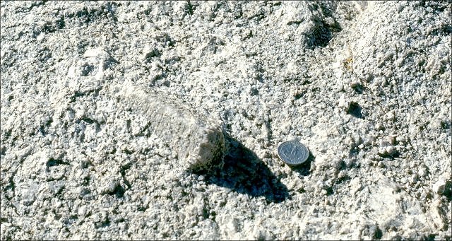Granodiorite - With Phenocrysts - Weathered - Mt Whiney