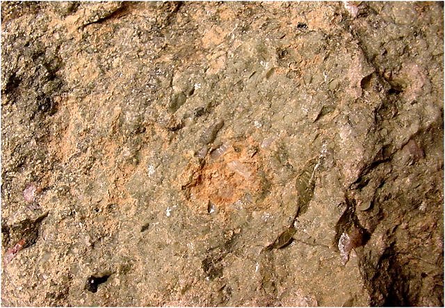 Kimberlite - Equigranular Texture - Close Up