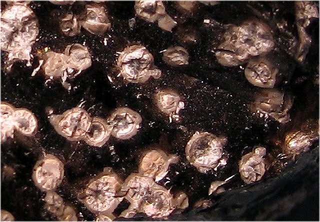 obsidian closeup with snowflakes