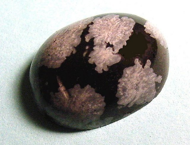 Obsidian - With Cristobalite Snowflakes