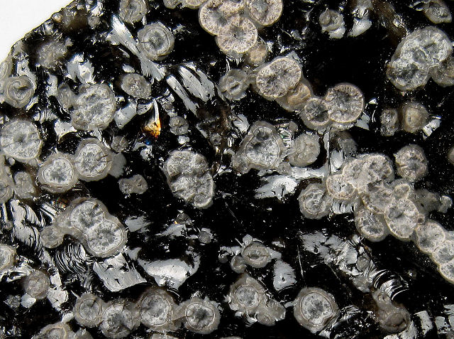 Obsidian - With Cristobalite Snowflakes