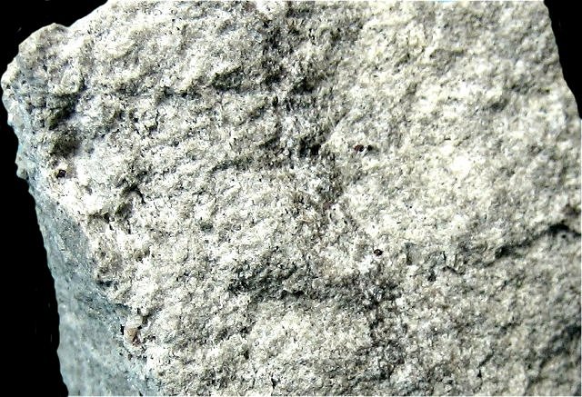 pumice glassy frothy texture close up