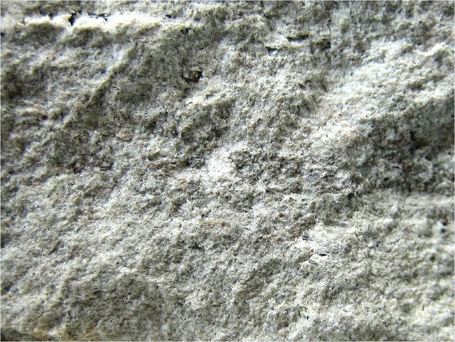 pumice glassy frothy texture close up