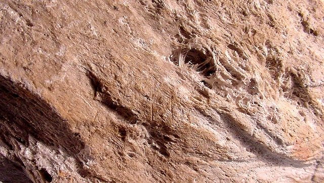 pumice with frothy texture closeup