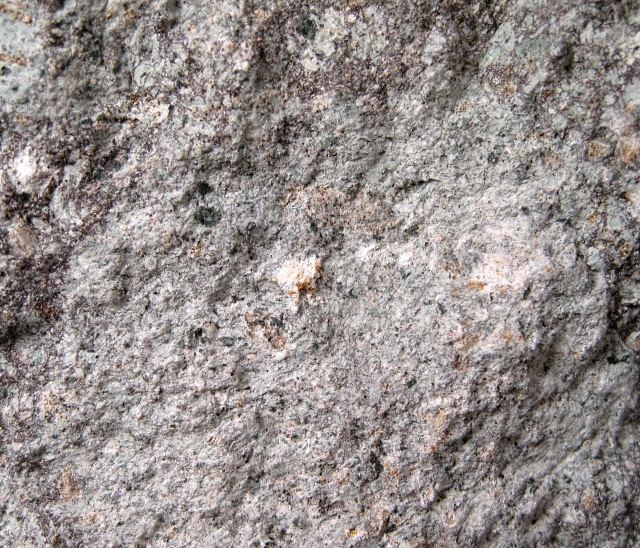 tuff from Mt St Helens close up