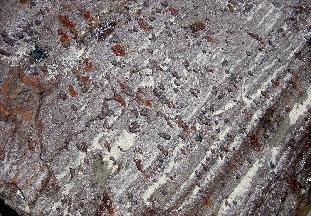 gneiss banded with concretions