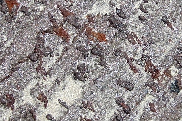gneiss banded with concretions