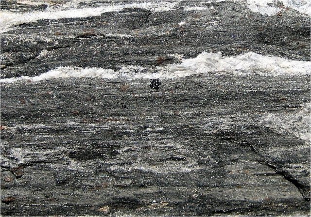 gneiss classic foliation close up