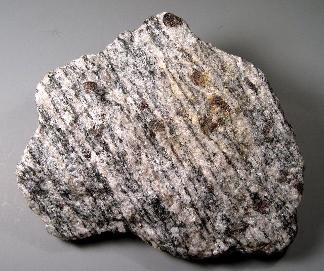 gneiss classic foliation with garnet porphyroblasts