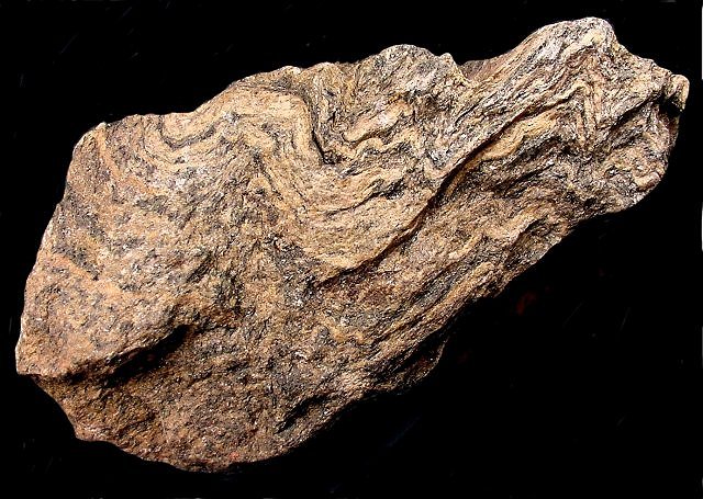 gneiss folded bands