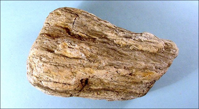 gneiss foliated weathered cobble