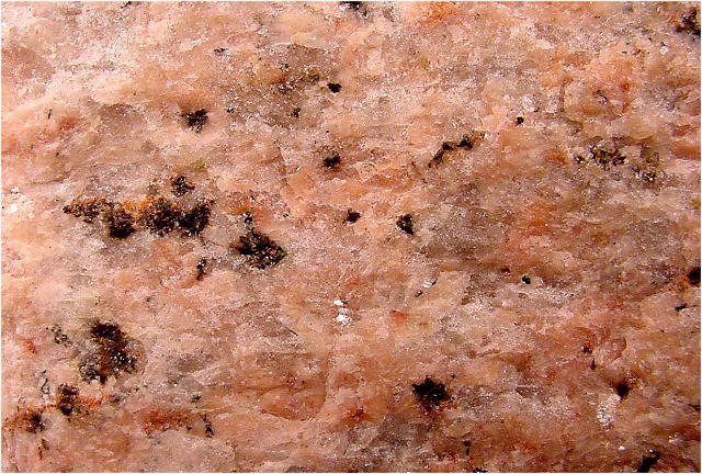 gneiss granitoid texture close up
