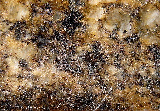 gneiss with banding