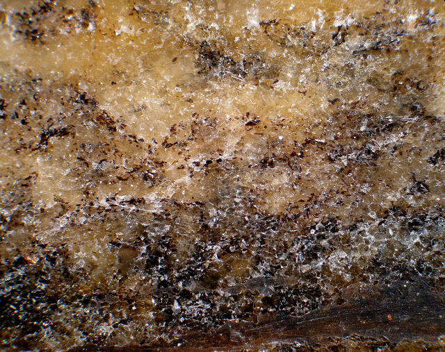gneiss with banding close up