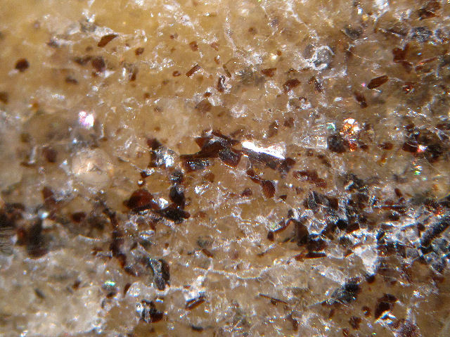 gneiss with banding close up