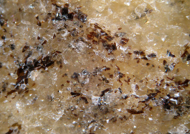 gneiss with banding close up