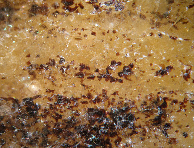 gneiss with banding close up