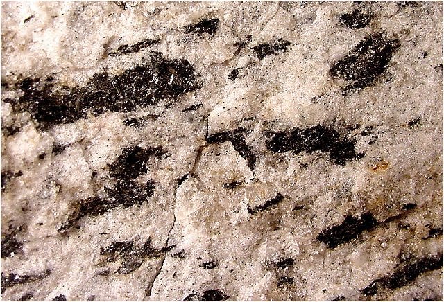gneiss with biotite close up
