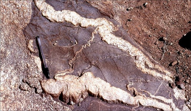 marble _ from Catalina Mt AZ