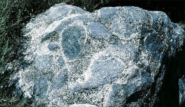 reaction rim around xenolith Mt Whtiney CA
