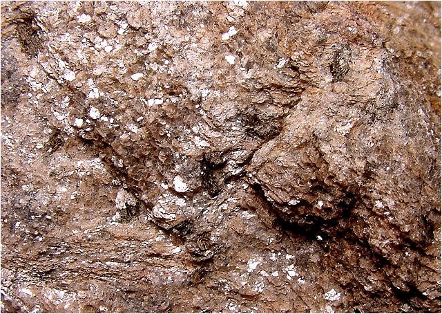 Schist - With Cordierite