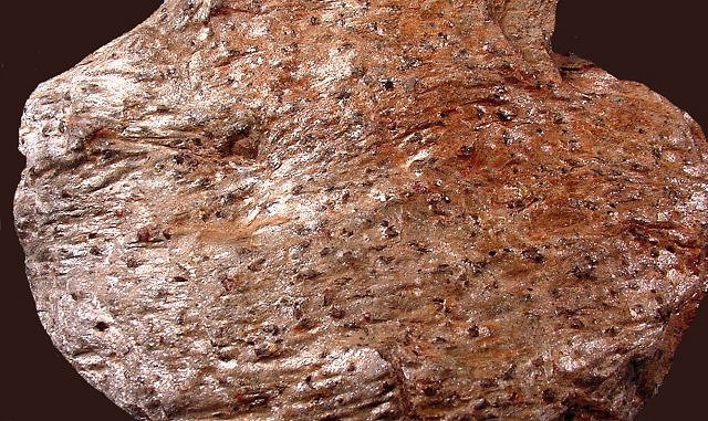 Schist - With Garnet Phenocrysts