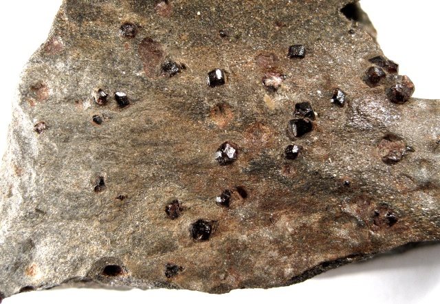 schist with red garnet phenocrysts close up