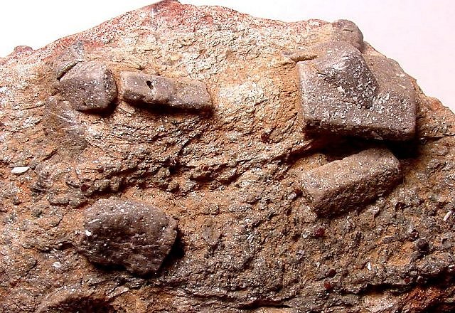 Schist - With Staurolite