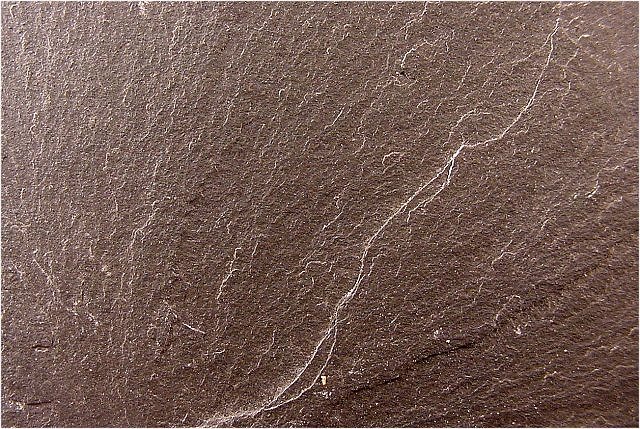 Slate - Gray Tile - Foliated