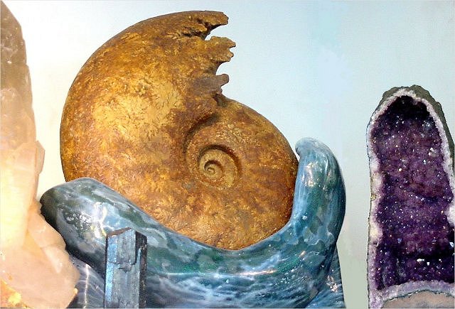 ammonite giant courtesy of Wonders of the World