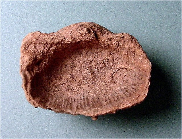 brachiopod Antiquatonia portlockiana Naco Formation-Pennsylvanian Kohl Ranch, central Arizona