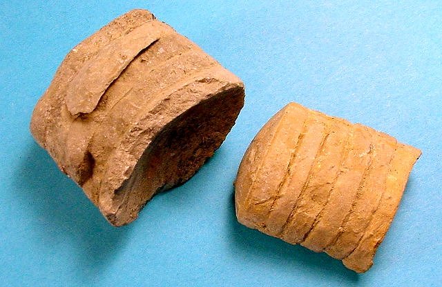 cephalopod nautiloid septa (sutures) recrystallized in dolomite