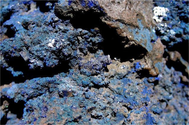 crinoid fossilized column pieces replaced by azurite-very rare specimen Morenci, Arizona